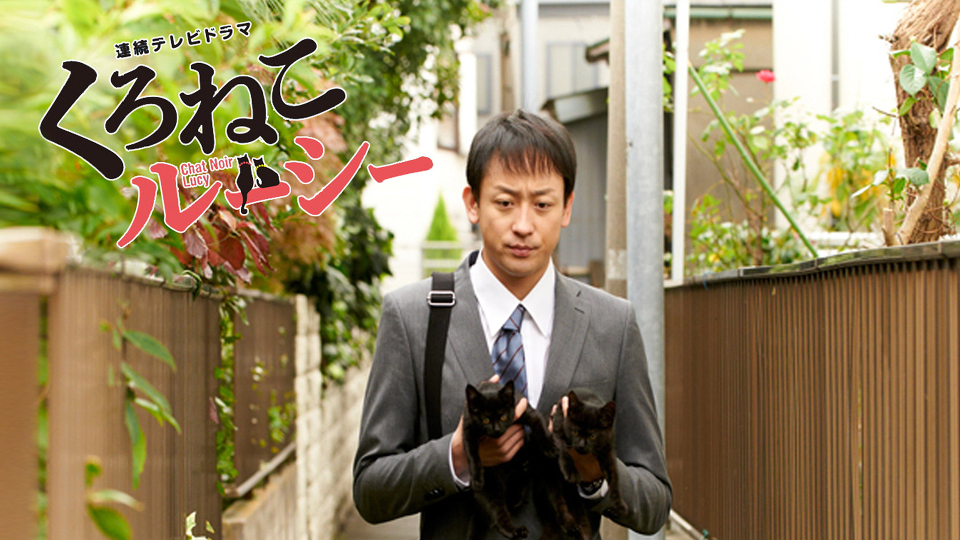 ドラマ版くろねこルーシーを観る | Prime Video