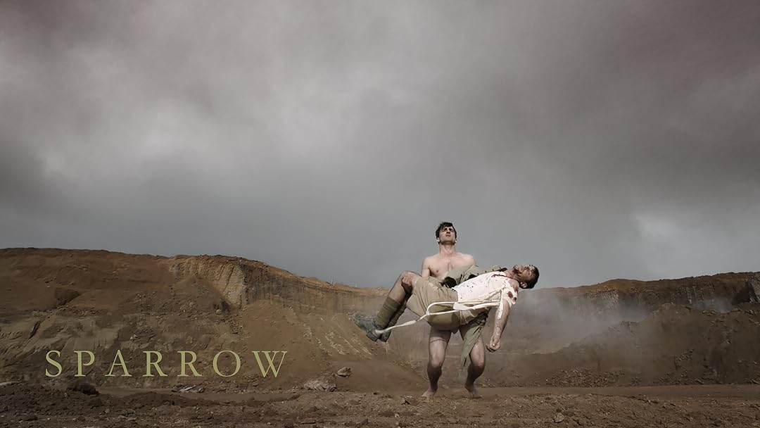 Sparrow