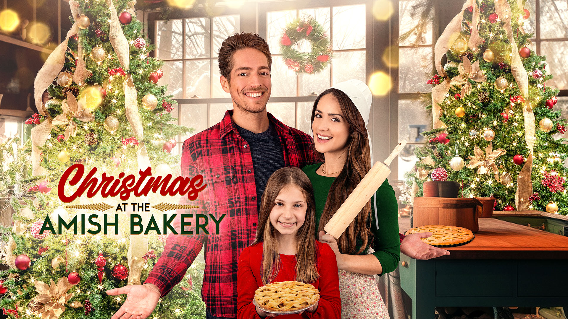 その他 Welcome to Amish America: The Series [DVD] Amazon.com: The Amish (American Experience) : David Belton