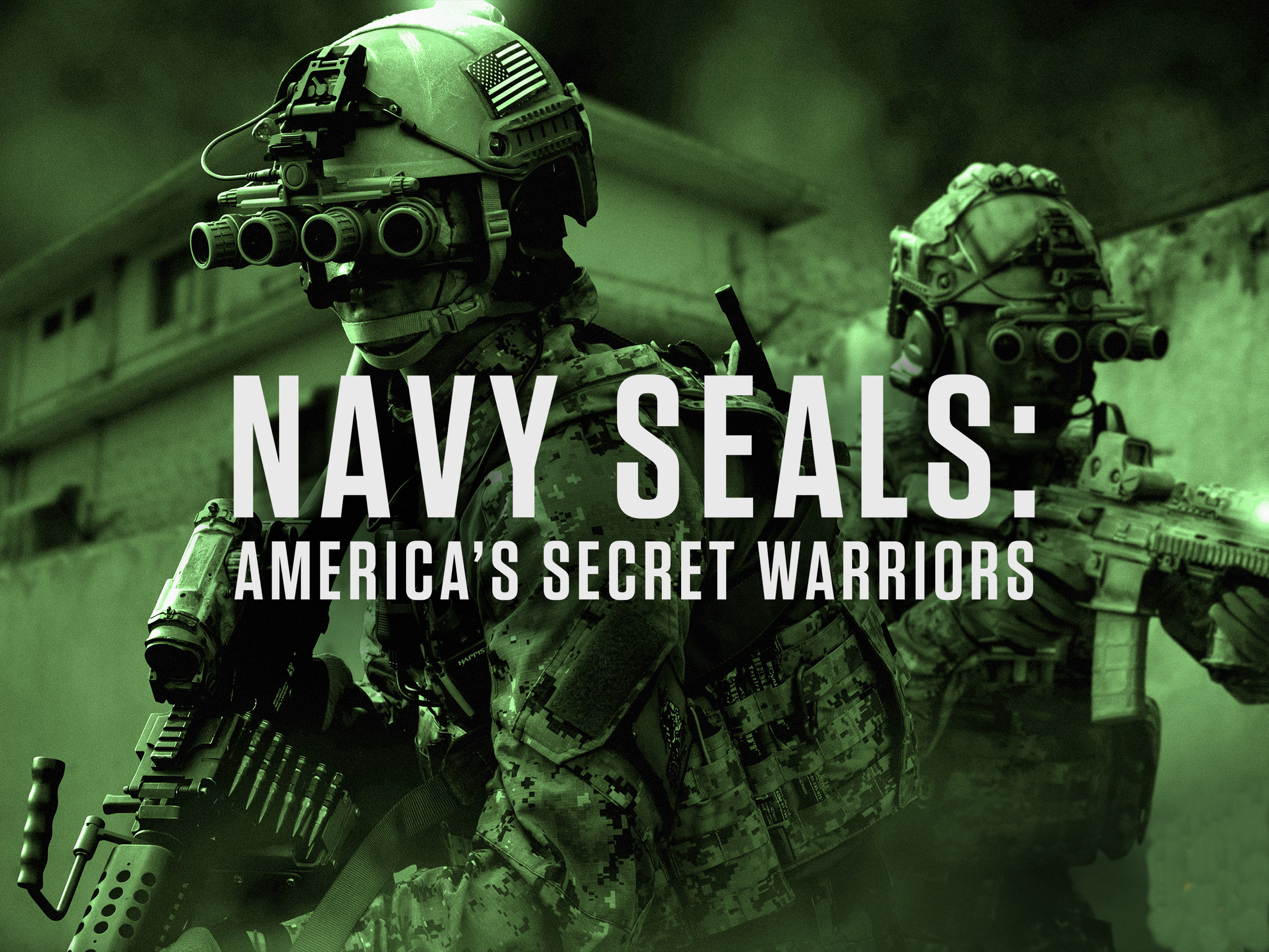 Seals: Their Strange Slapping Secret Revealed - ylqeeve