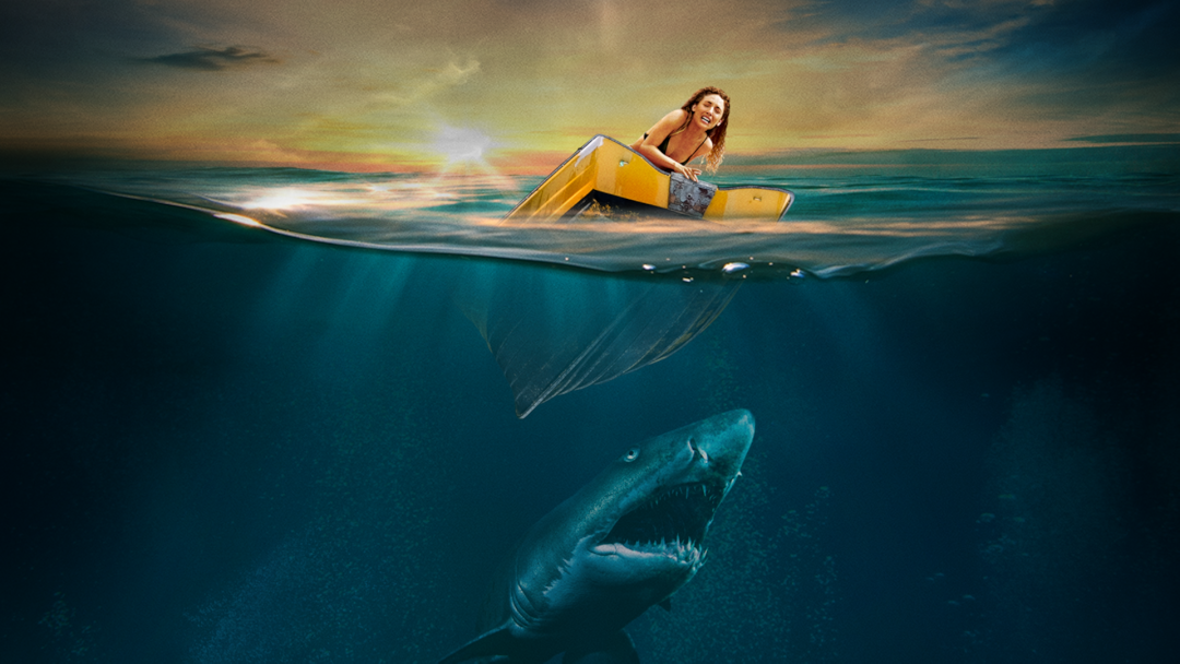 Shark Waters
