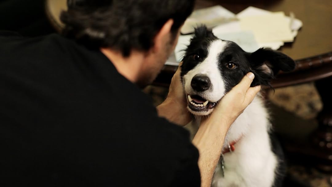 Amazon.co.jp: エンジェル・ドッグ（字幕／吹替）を観る | Prime