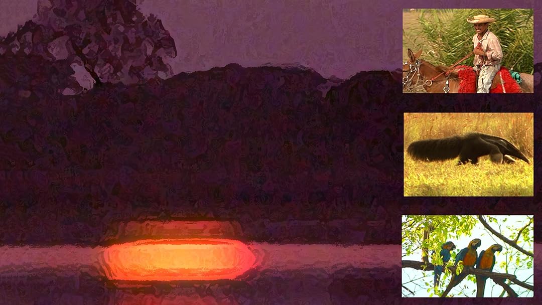In Search of the Pantanal