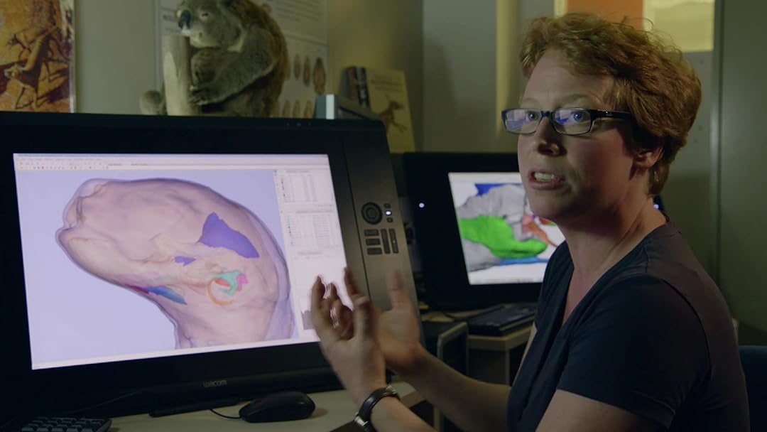 The Secret History of our Evolution