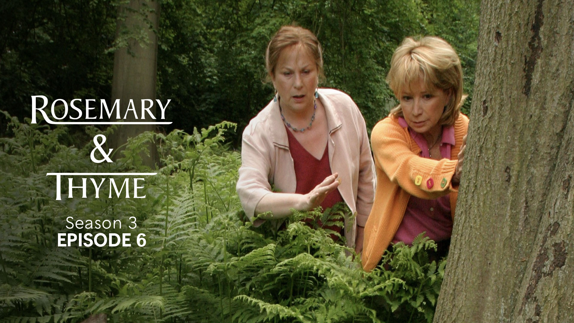 その他 Rosemary &amp; Thyme: Series Three [DVD] [Import] bme6fzu Watch Rosemary And Thyme, Season 3 | Prime Video