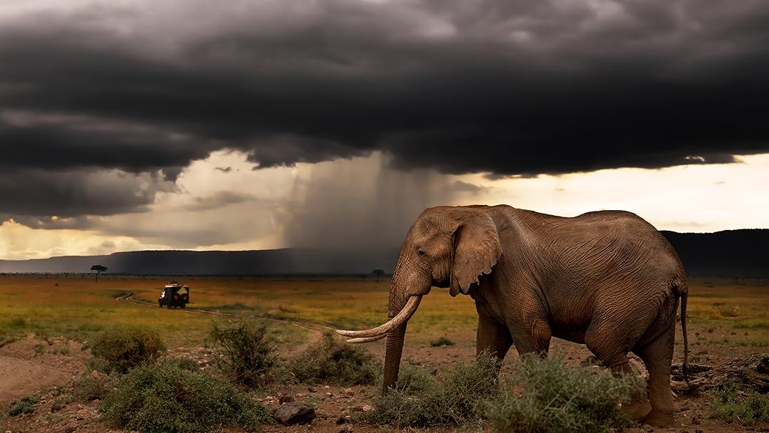 Chasing The Rains