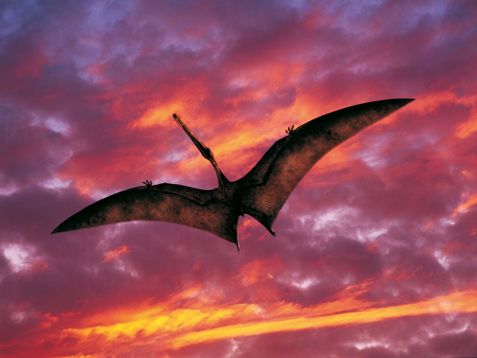 Amazon.co.jp: ウォーキングwithダイナソー 驚異の恐竜王国(吹替