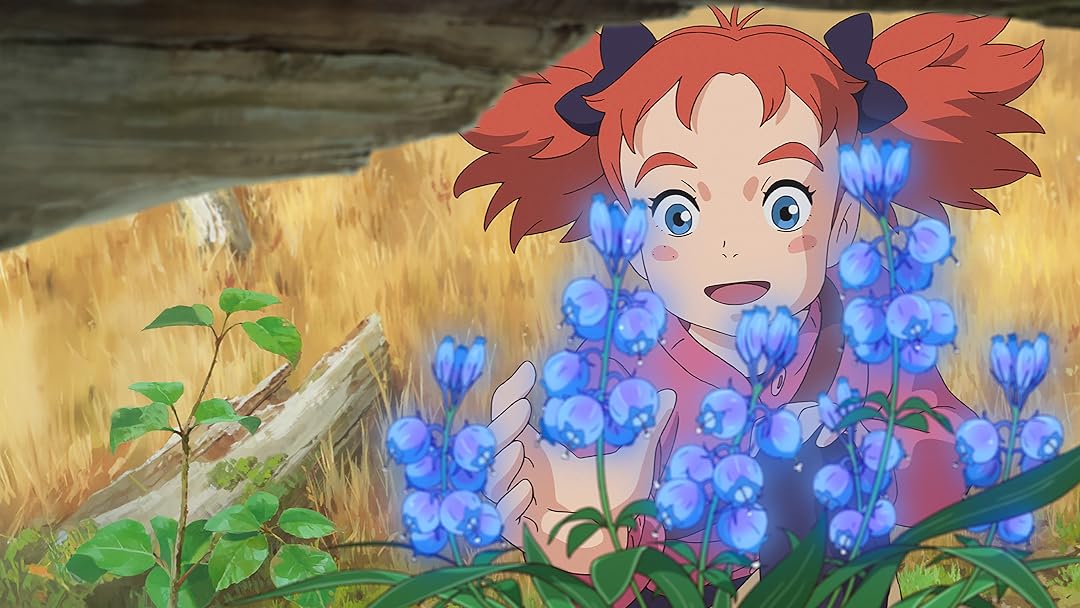 Mary and the Witch's Flower