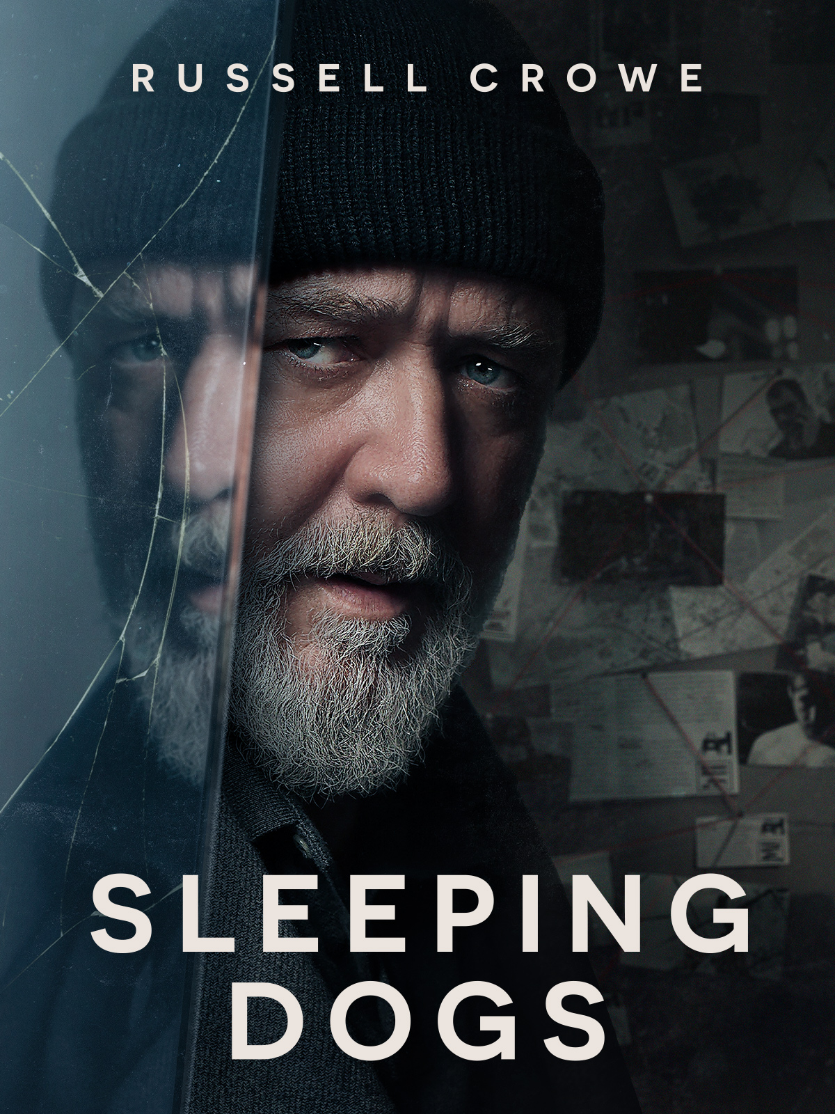 Sleeping Dogs 2024 ORG Hindi Dual Audio 1080p | 720p | 480p HDRip ESub Download