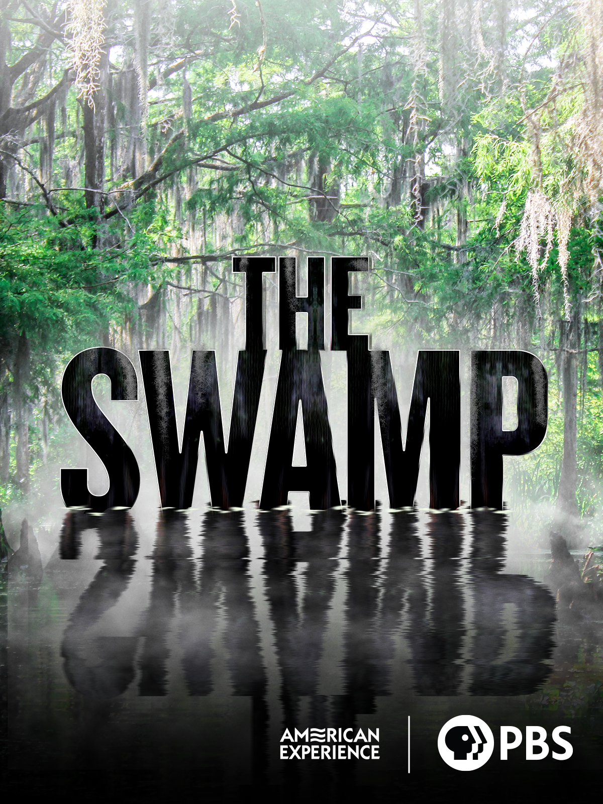 Watch The Swamp | Prime Video