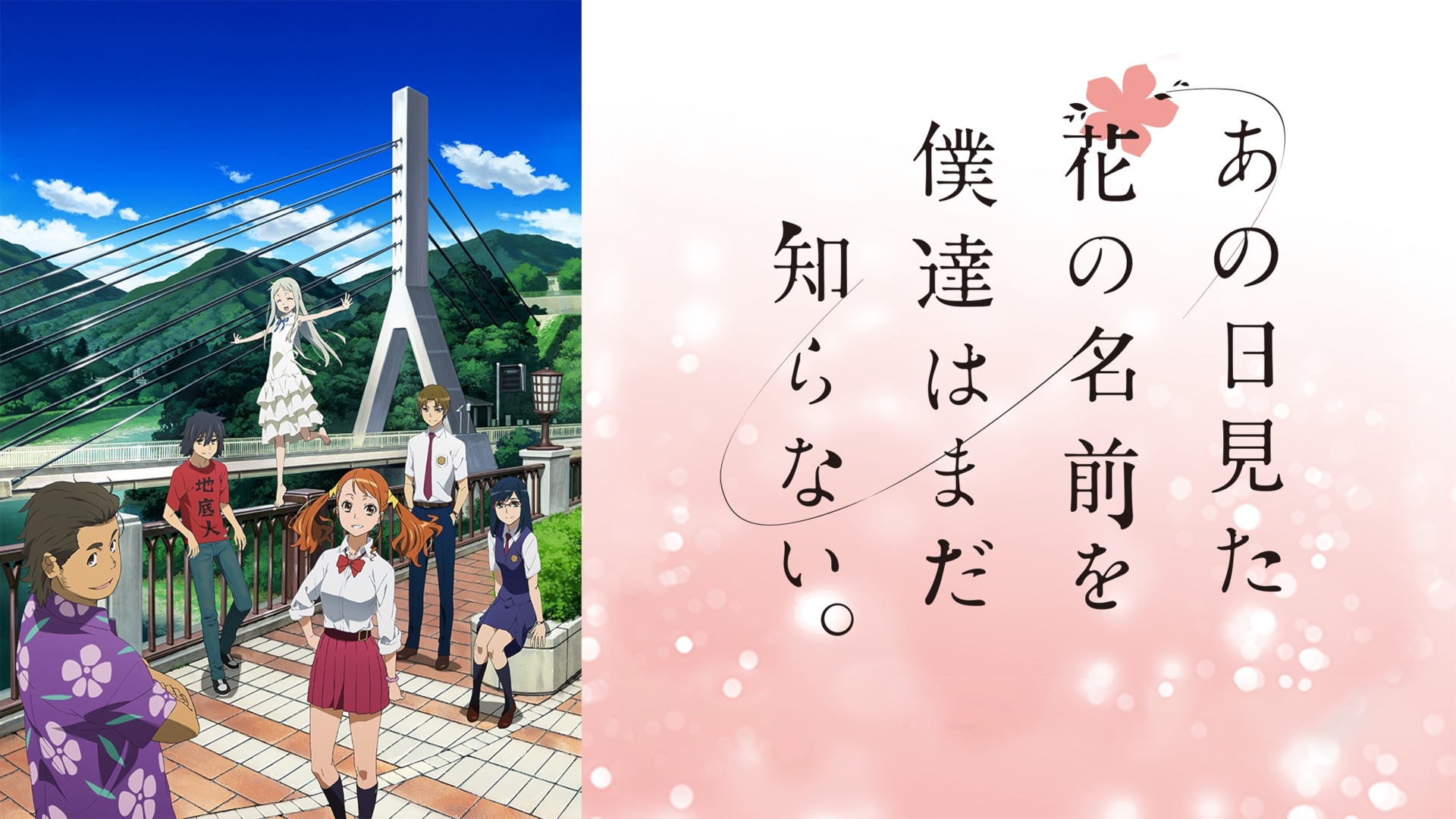 【全話】あの日見た花の名前を僕達はまだ知らない。　切り抜き あの日見た花の名前を僕達はまだ知らない。」の地上波特番が6月