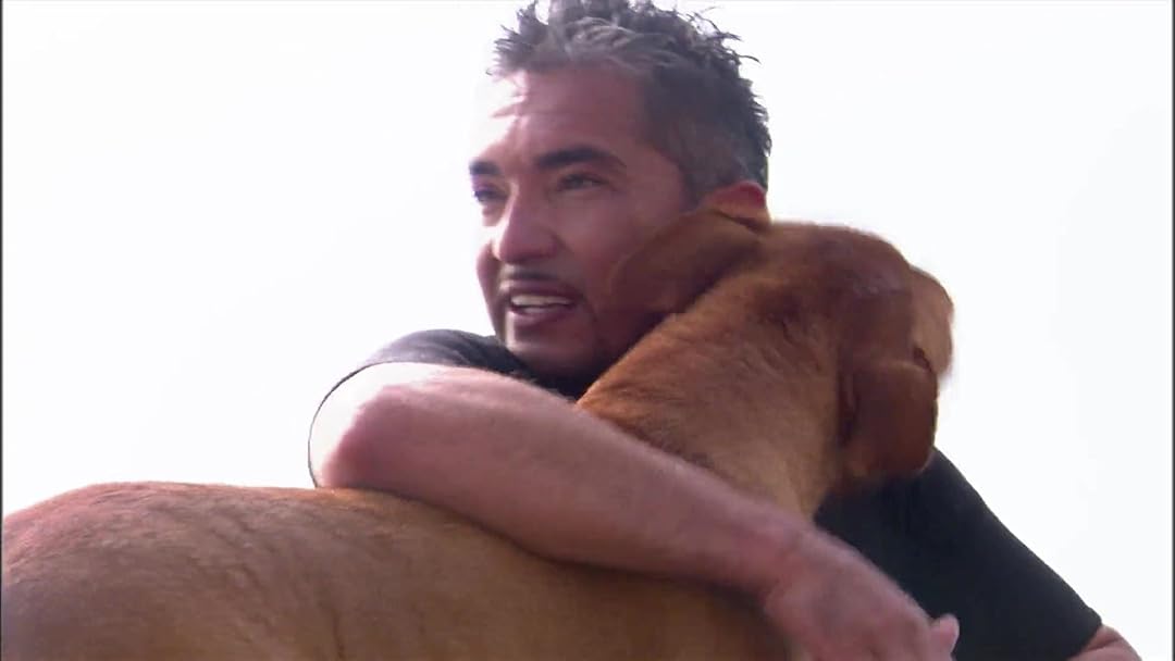 Dog Whisperer with Cesar Millan