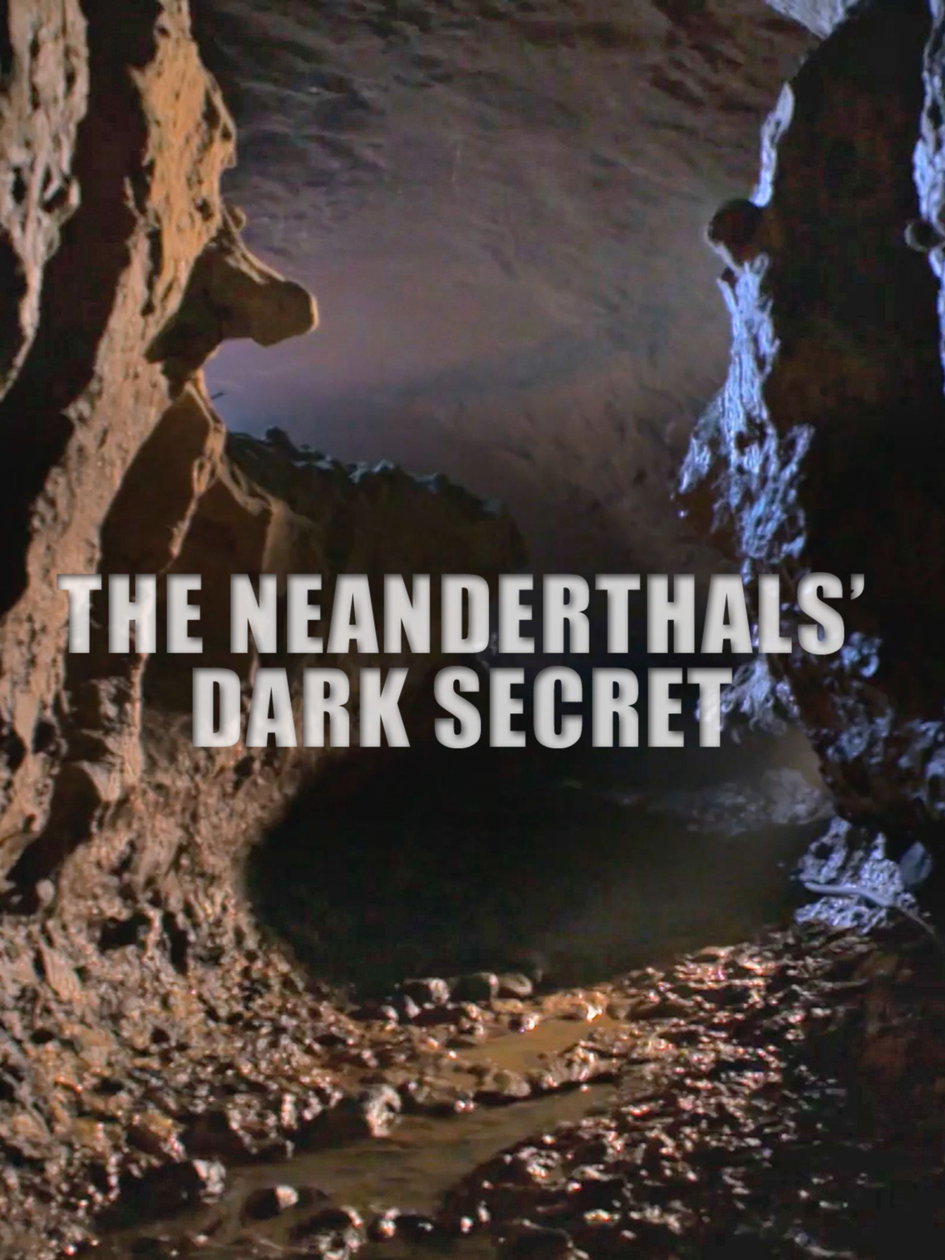 The Dark Secrets Hidden In The Idaho Murder Photos - t4c98c5