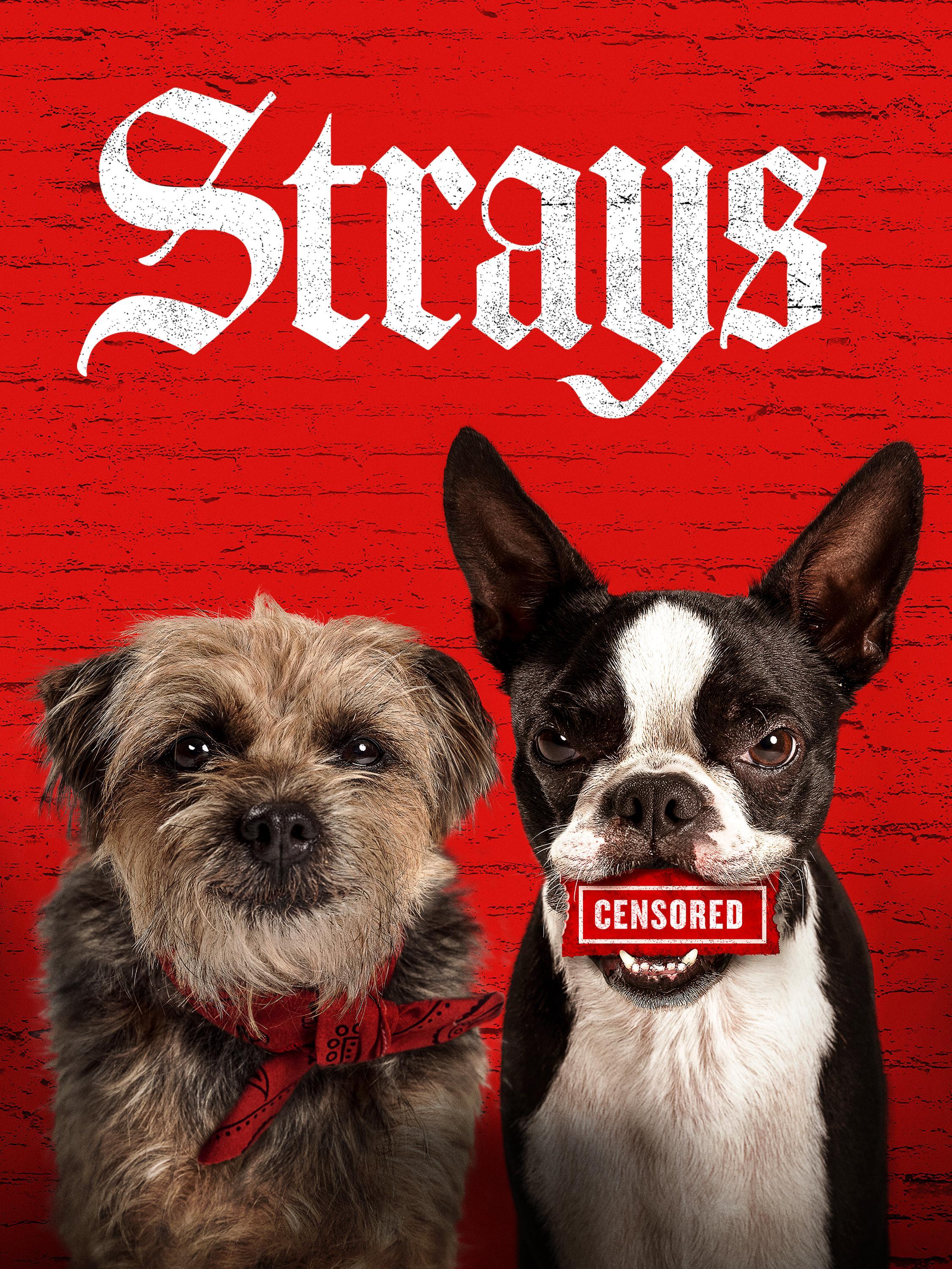 Prime Video Strays (2023)