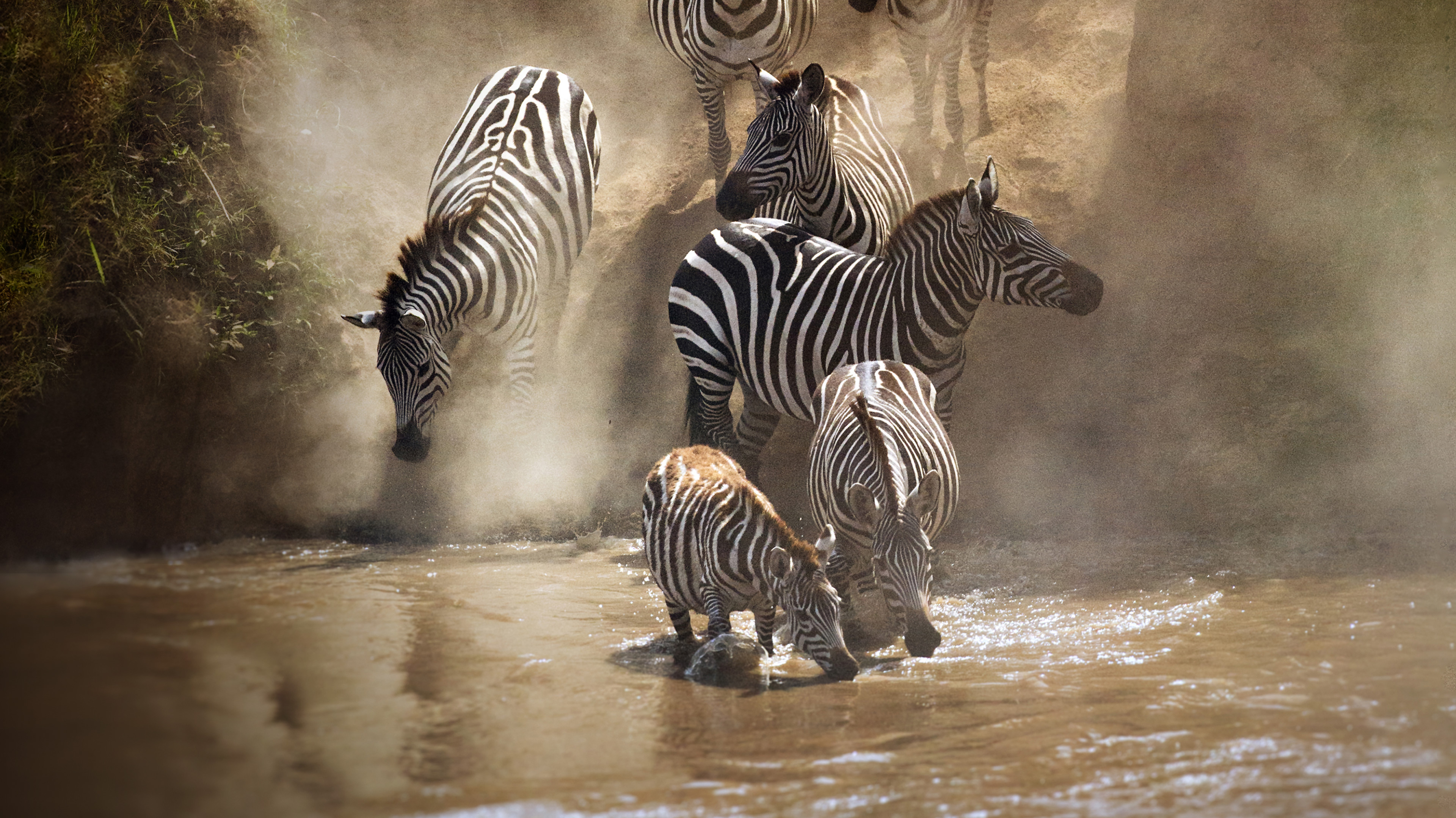 33f4256dab2812a274e4eee33bcc4b