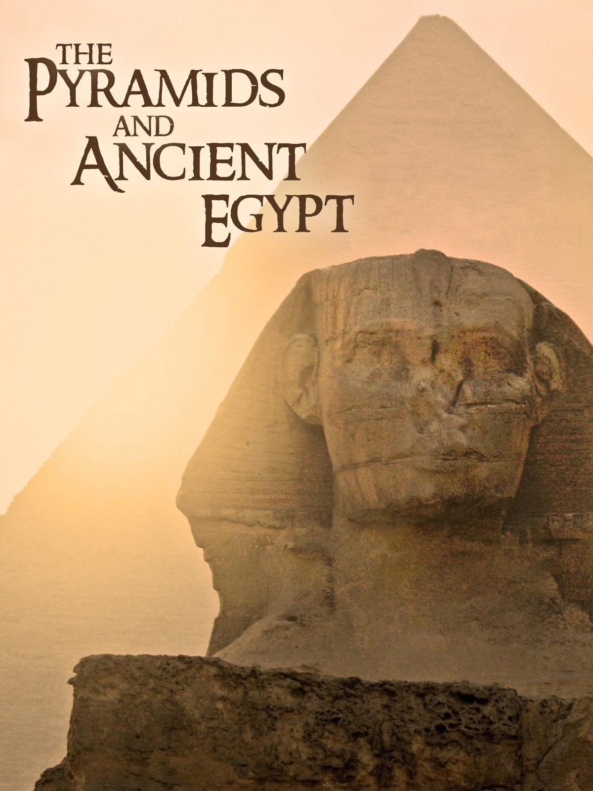 3433ce2cde8c5cb3c5ed8ea4e3e9ab