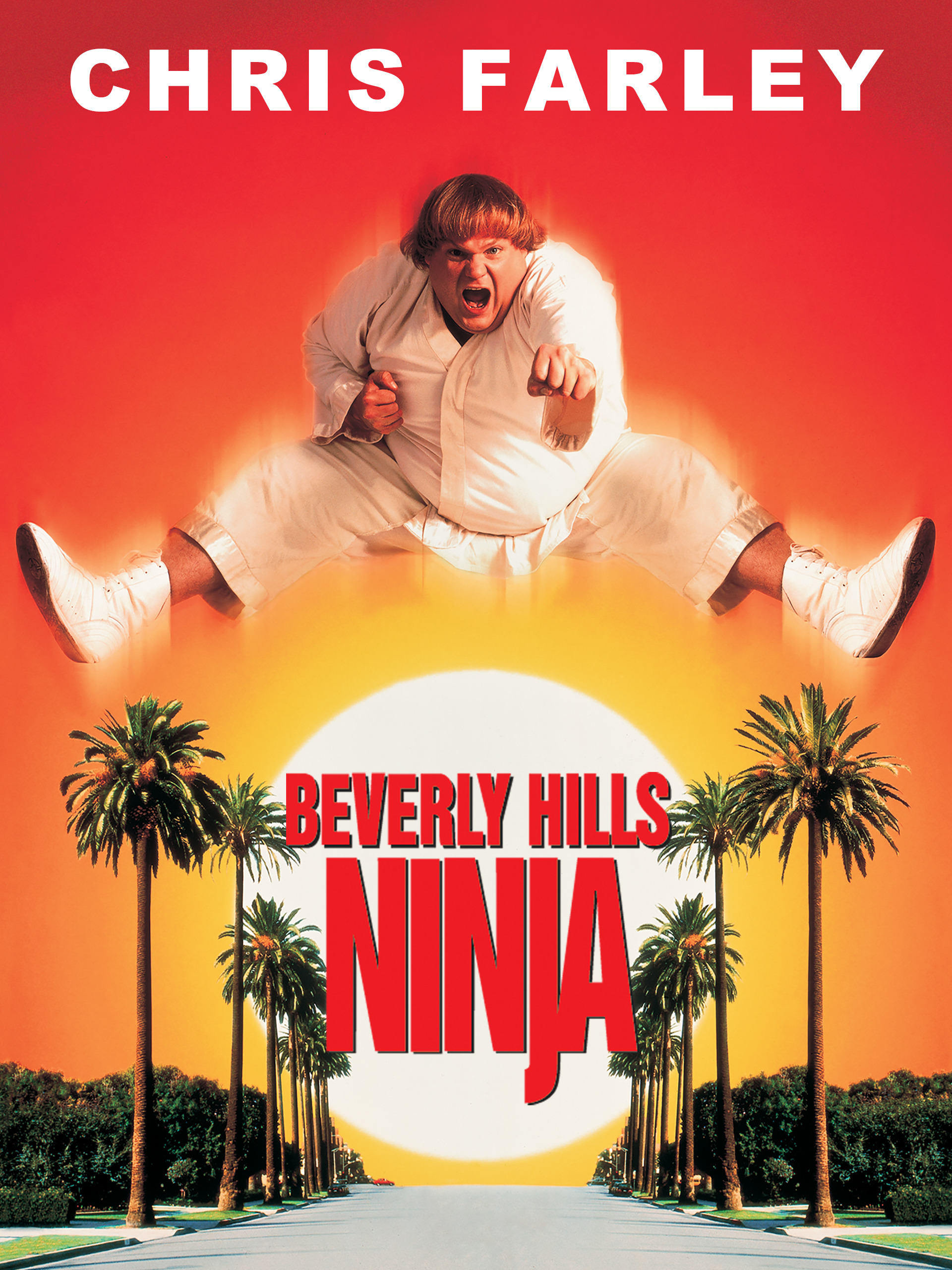 Prime Video Beverly Hills Ninja