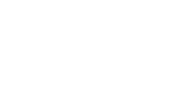 Miss FBI: divinement armée
