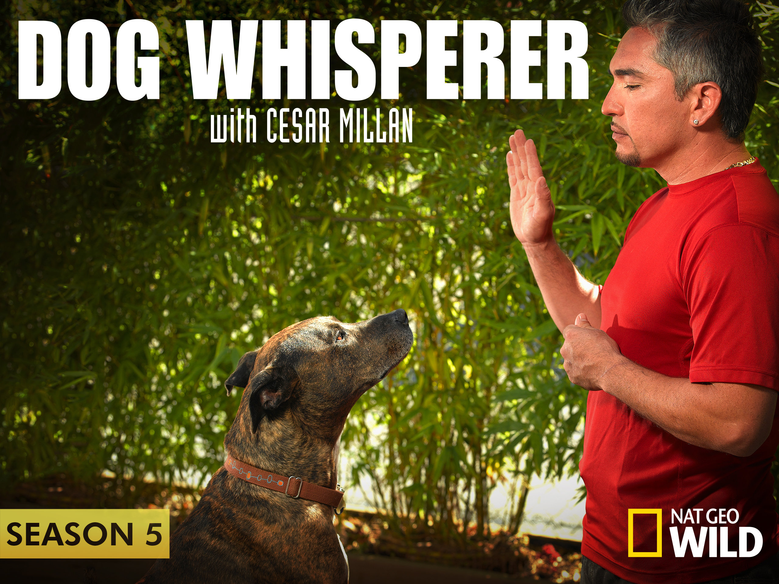 Watch Dog Whisperer with Cesar Millan Season 5 | Prime Video