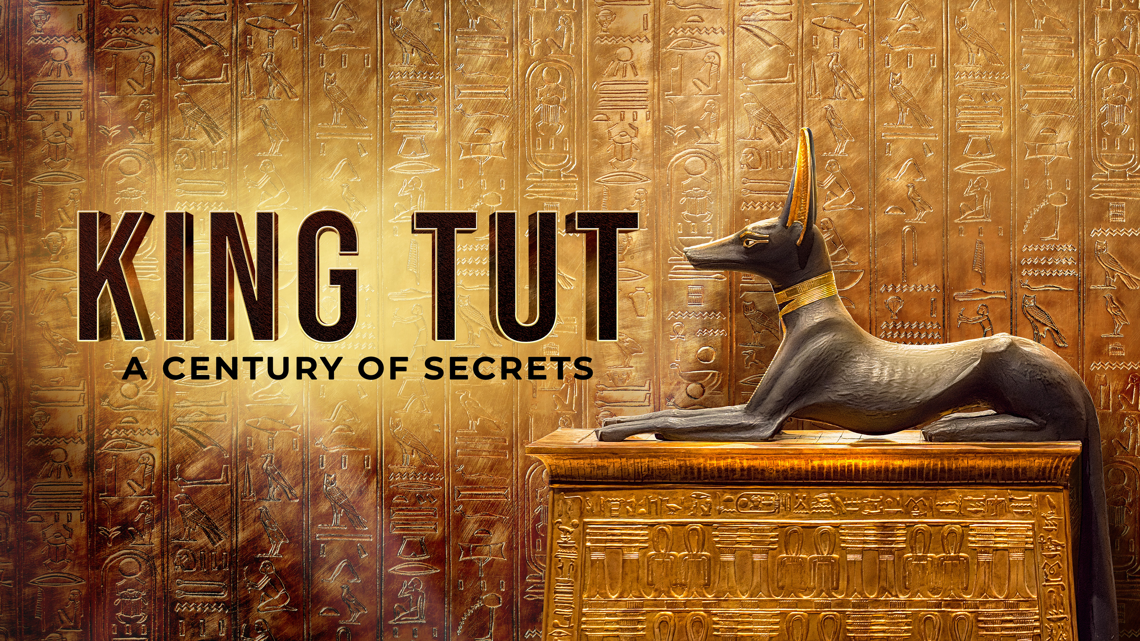 Watch King Tut: A Century of Secrets, Season 1 | Prime Video