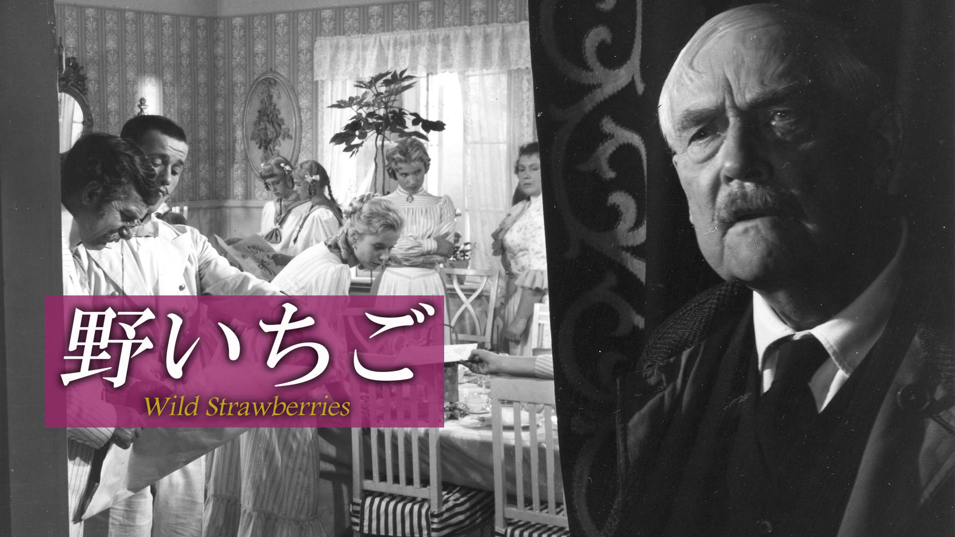 映画ポスター 野いちご イングマール・ベルイマン 世界で最も重要な映画監督のひとりとして魂の深淵を見つめ続けた