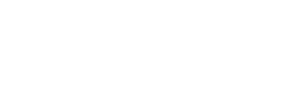 The Gilded Age