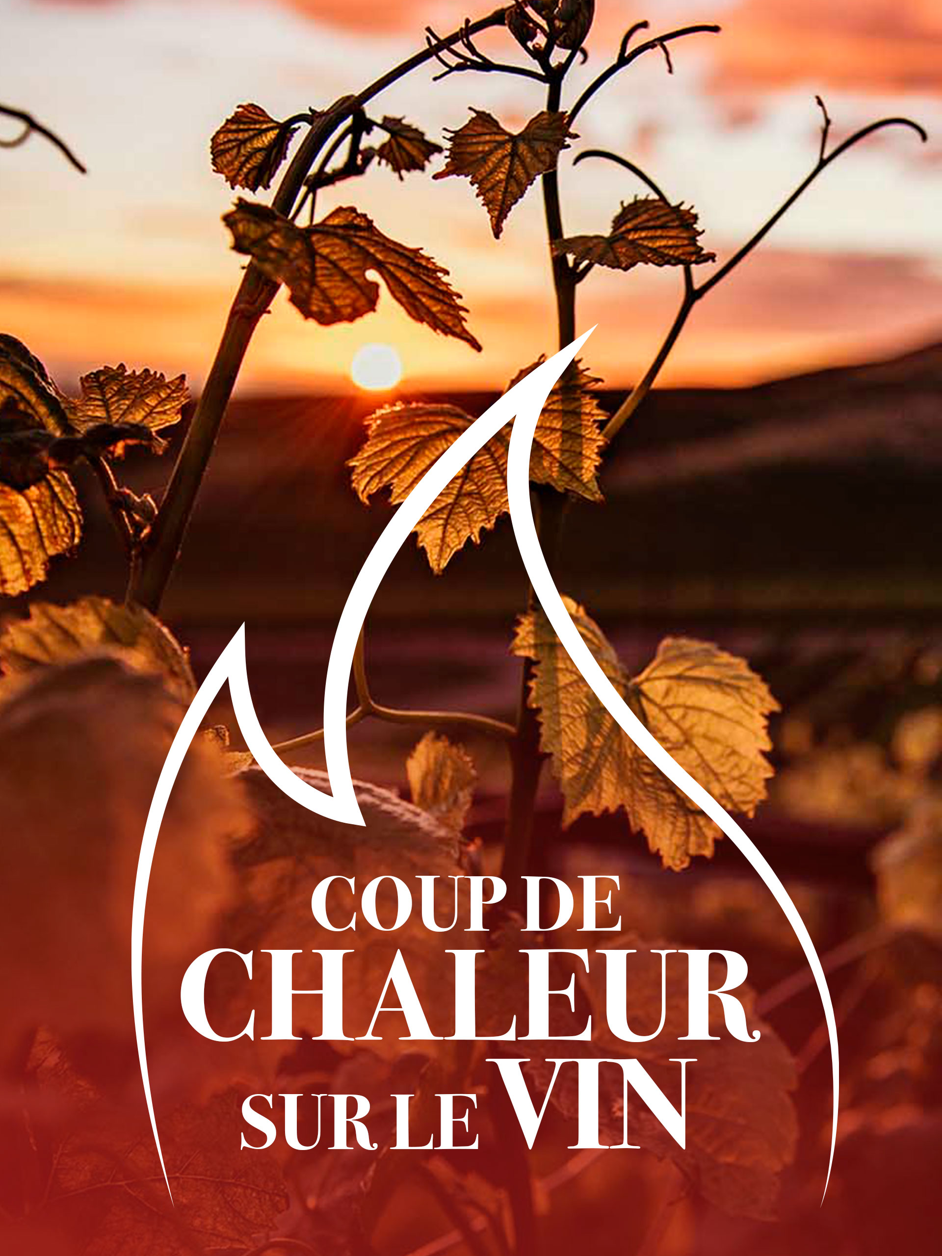 Prime Video Coup de chaleur sur le vin