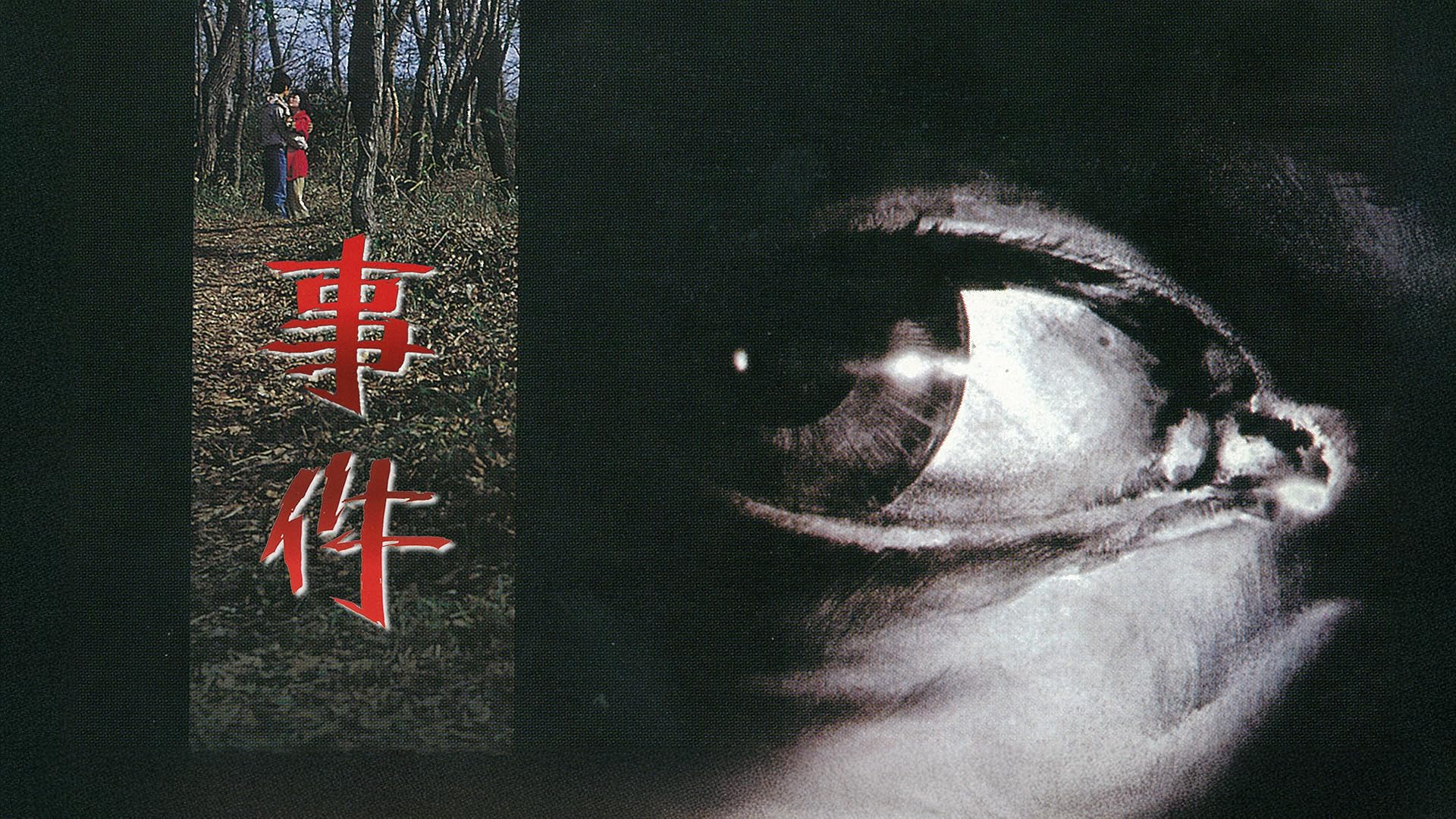 Amazon.co.jp: マイケル・ムーアの世界侵略のススメ(字幕版)を