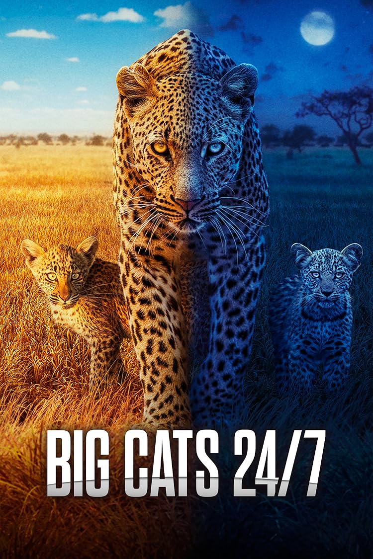 Big Cats 24/7