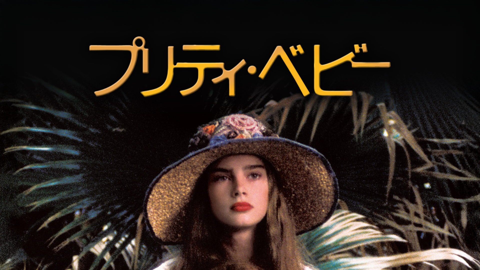 Amazon.co.jp: プルーフ・オブ・マイ・ライフを観る | Prime Video