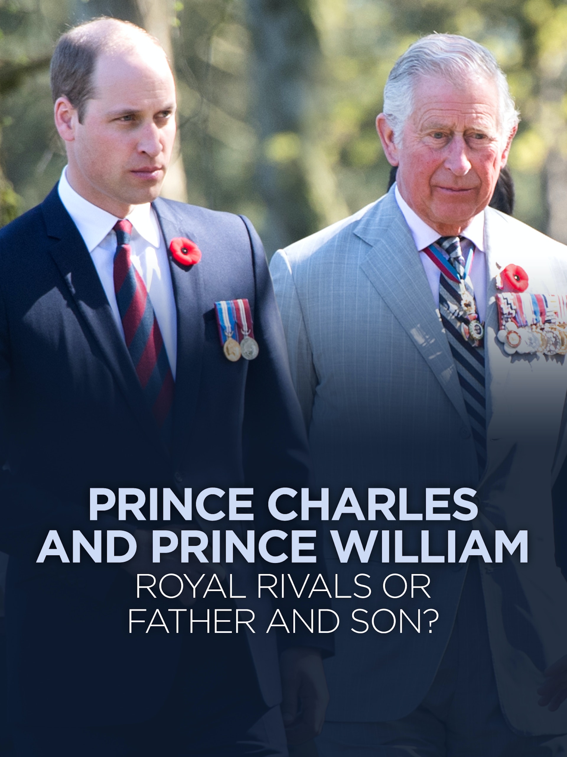 (未使用･未開封品)Prince Charles &amp; Prince William  Rivals Or [DVD] Amazon.co.jp: Prince Charles and Prince William Royal Rivals