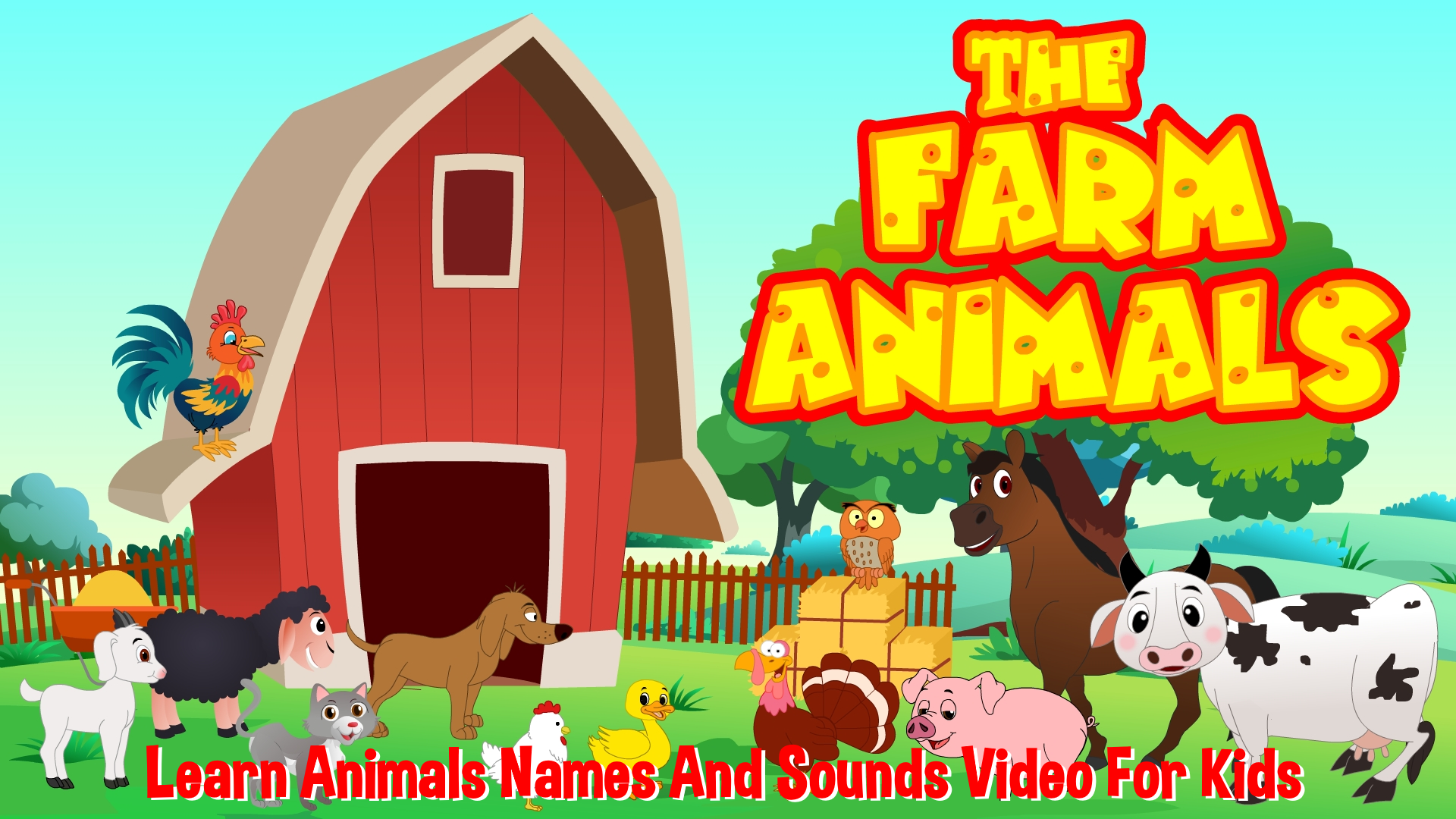 Watch Animals For Kids Prime Video