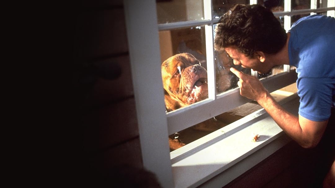 Turner And Hooch
