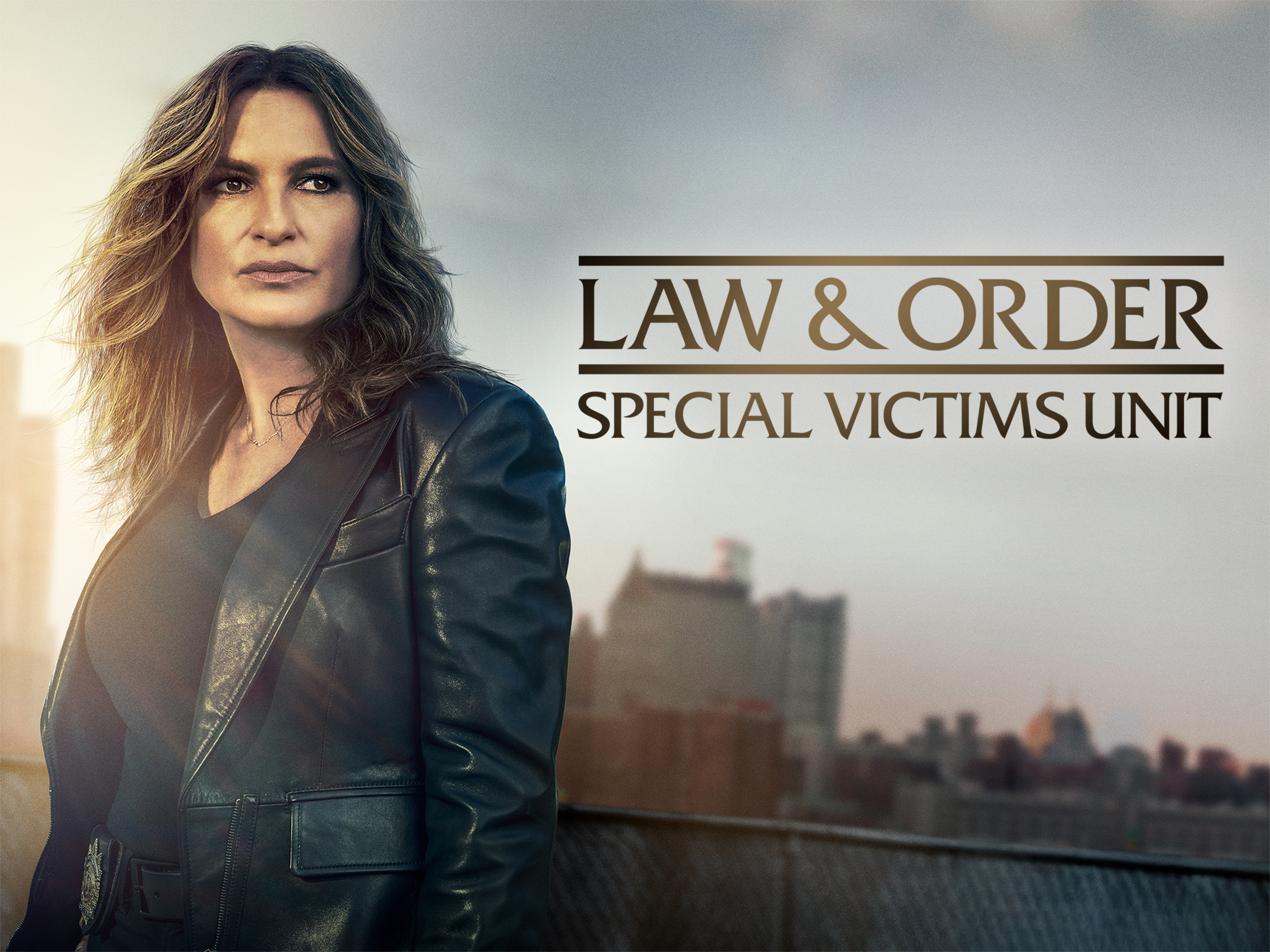 その他 Law &amp; Order: Special Victims Unit - Seventh Year Amazon.com: Law & Order: Special Victims Unit - The Seventh