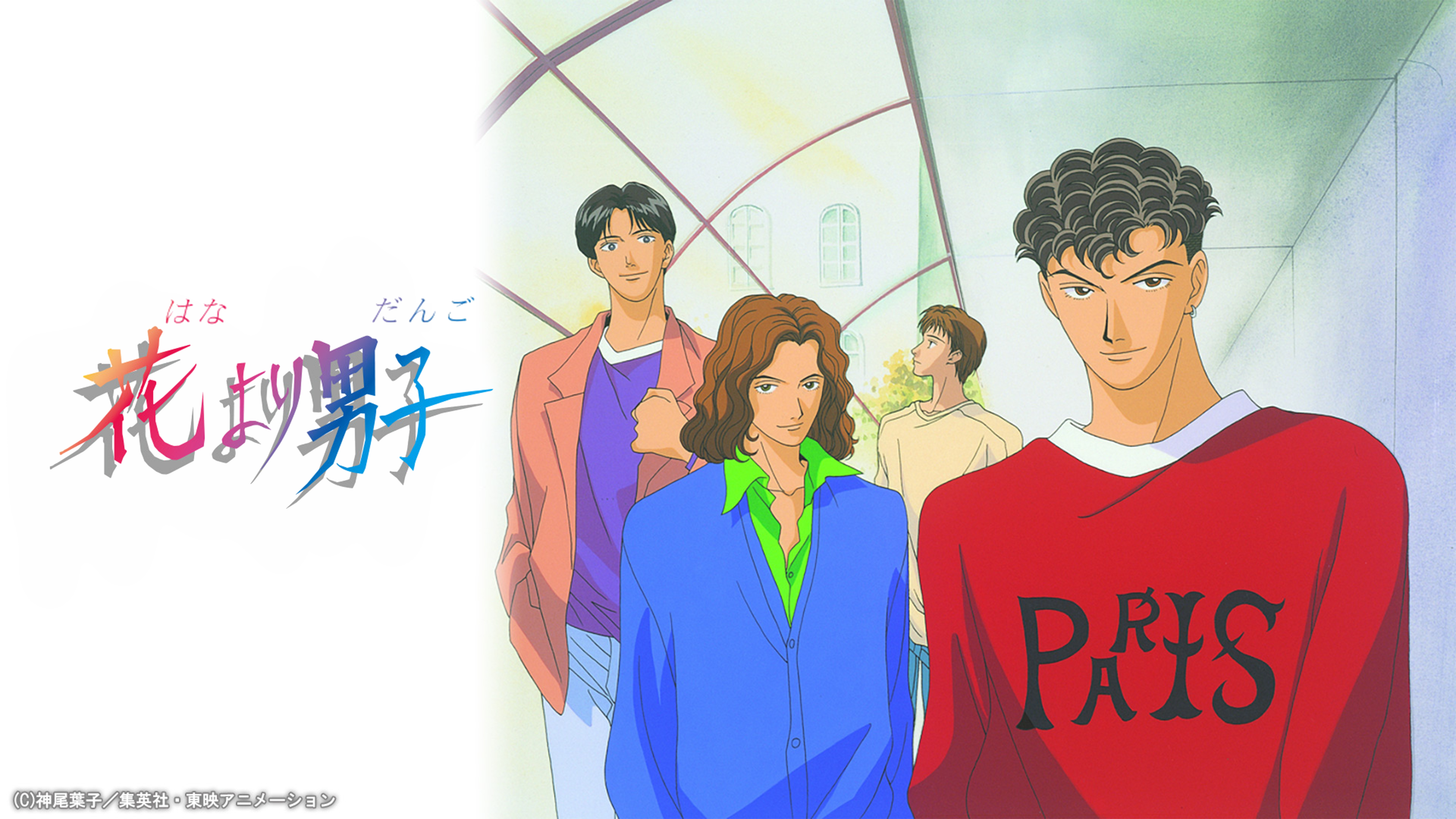 ケース付 花より男子 全11巻+SP+劇場版 映画 全14巻 全巻セ 花より男子 完全版 14 (集英社ガールズコミックス) | 神尾 葉子