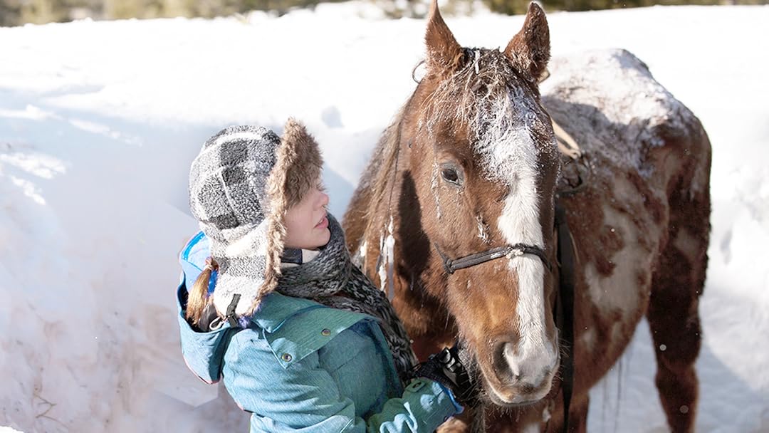 Horses of McBride
