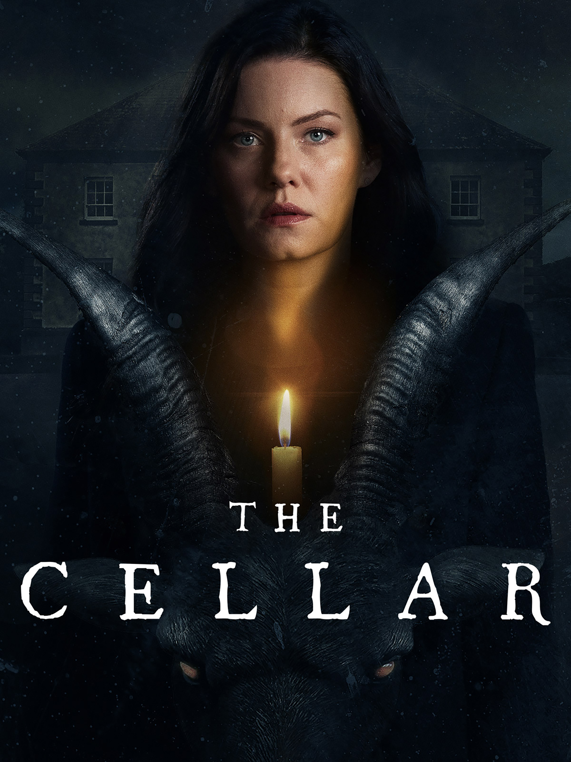 Prime Video The cellar