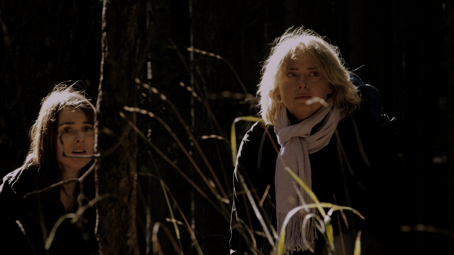 フィール・ザ・デッド ~パンデミック~ DVD-BOX フィール・ザ・デッド ～パンデミック～を観る | Prime Video