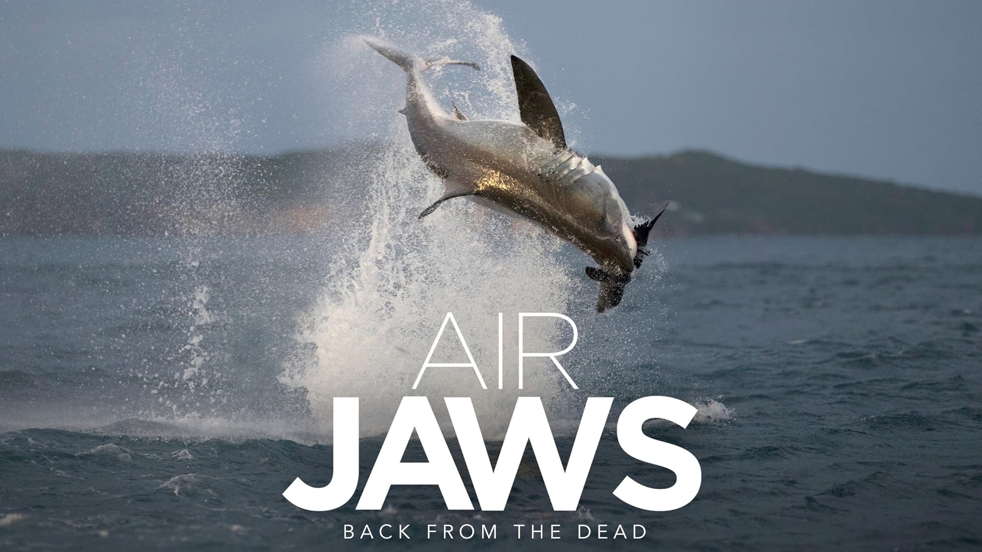 Watch I Escaped Jaws II Season 1 Prime Video