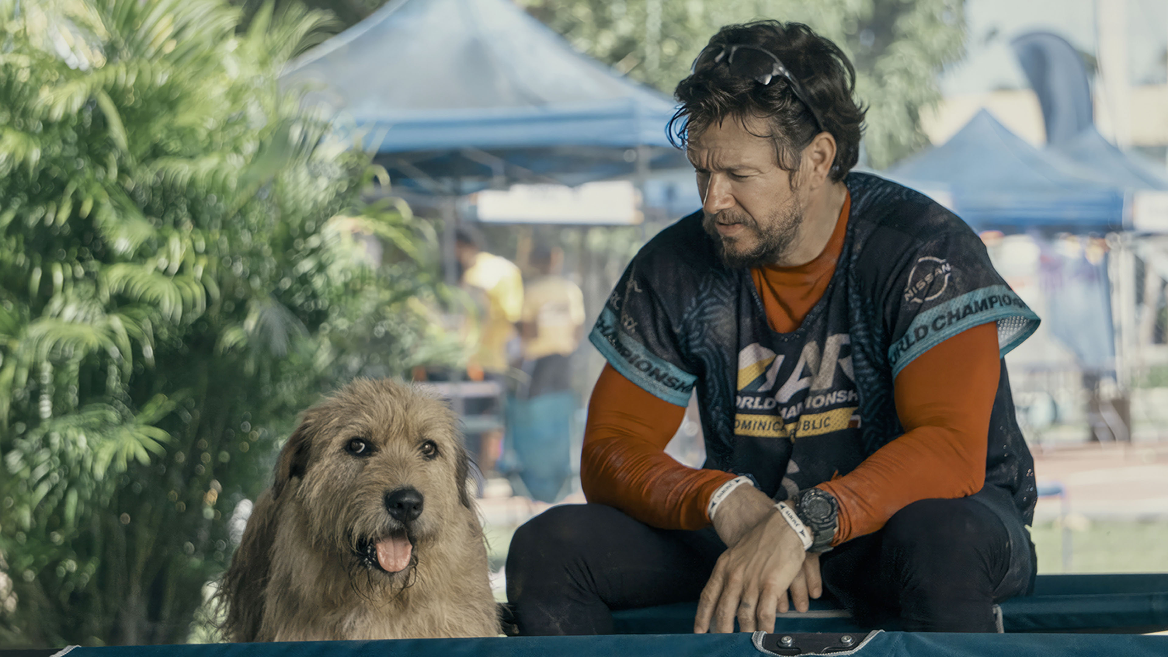 4c9fa66364c81ffc192f0889f27055