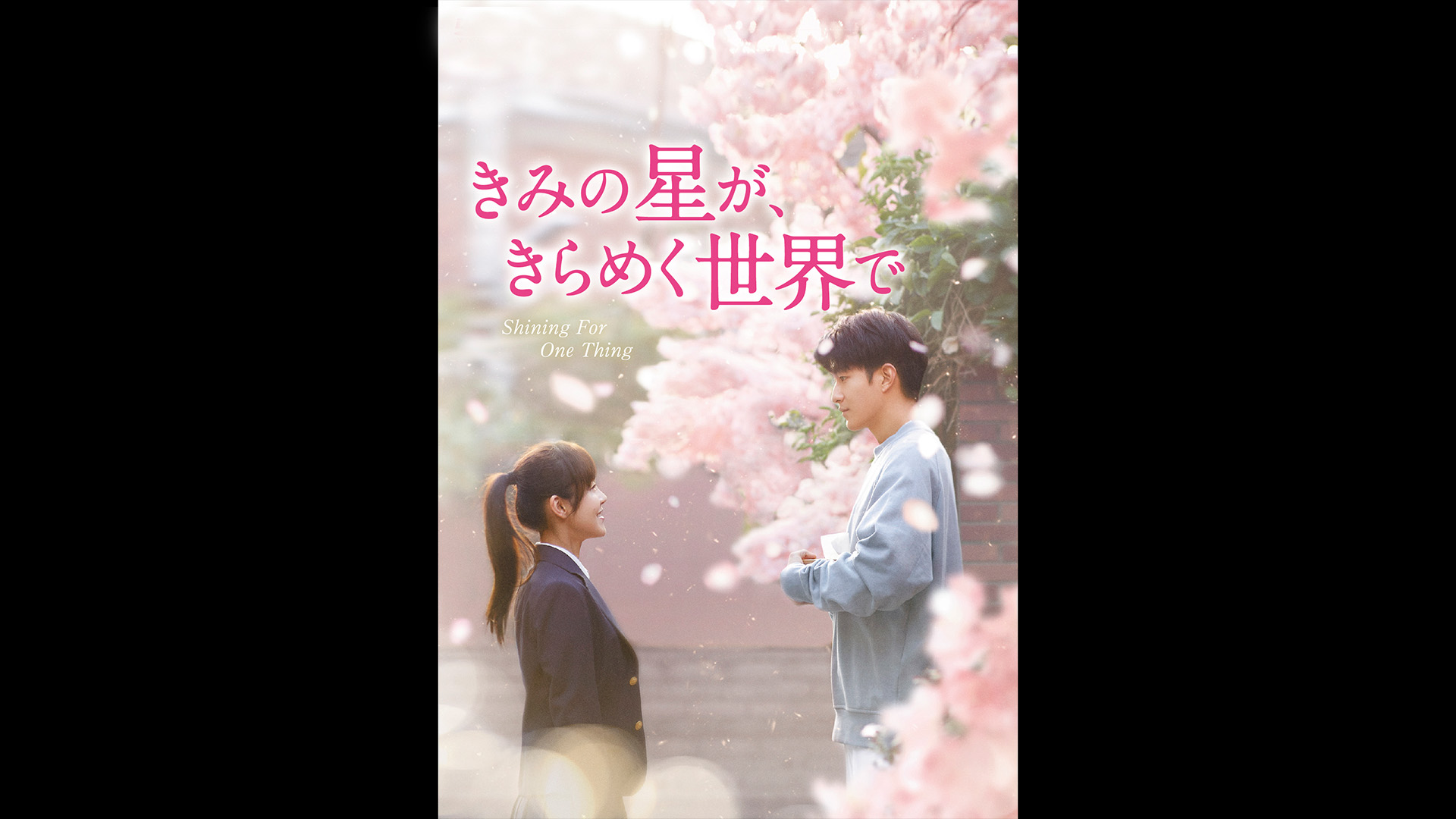 廃番　パイラン('01韓国) ラブレター Amazon.co.jp: ラブレター パイランを観る | Prime Video
