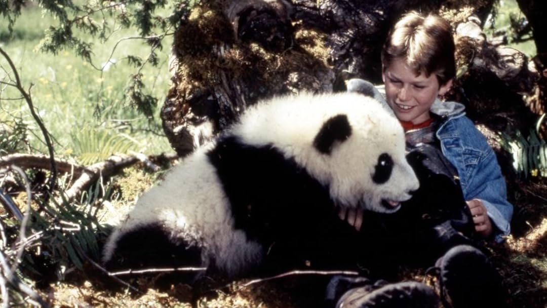 The Amazing Panda Adventure