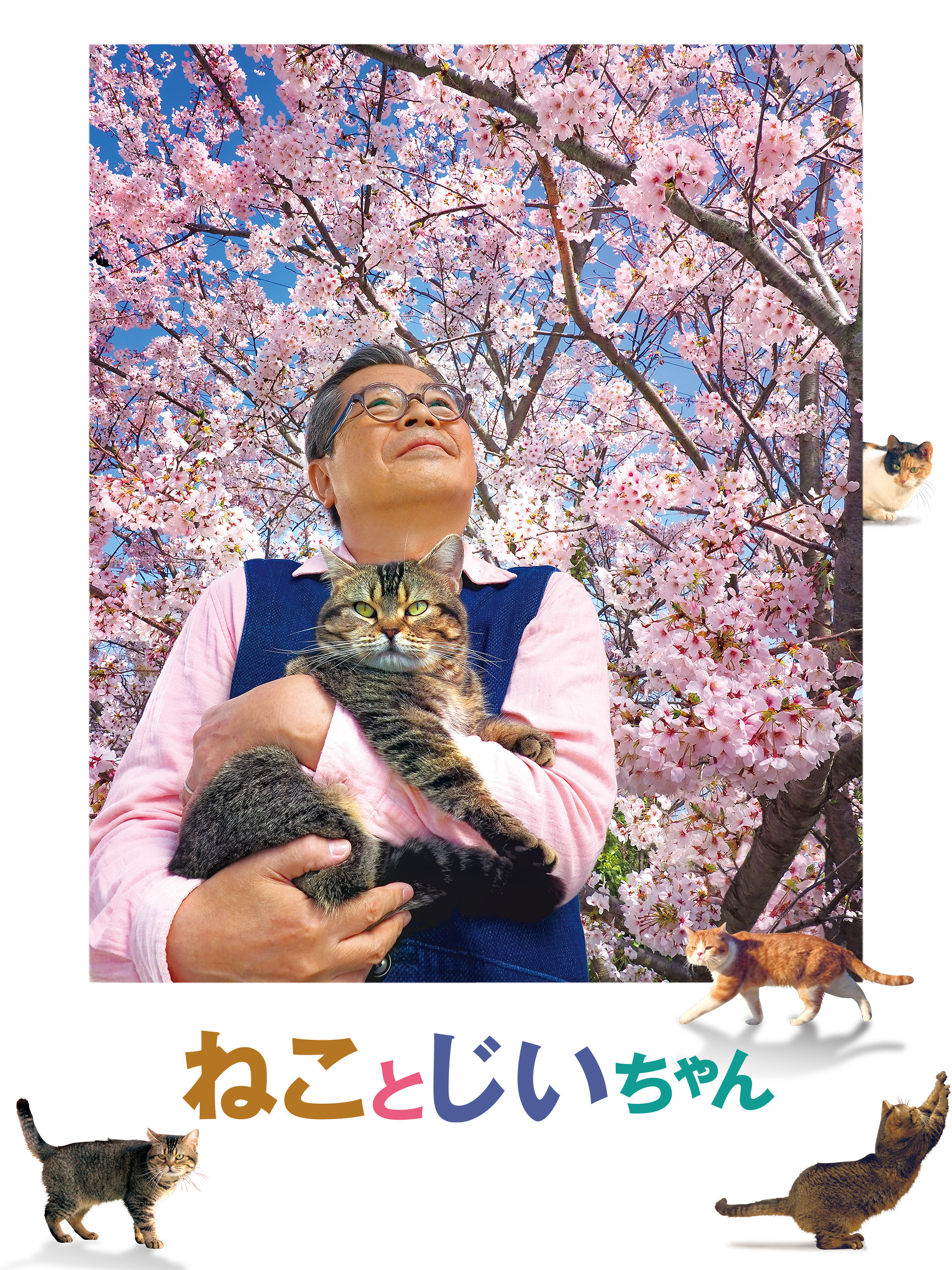 Amazon.co.jp: ねことじいちゃんを観る | Prime Video