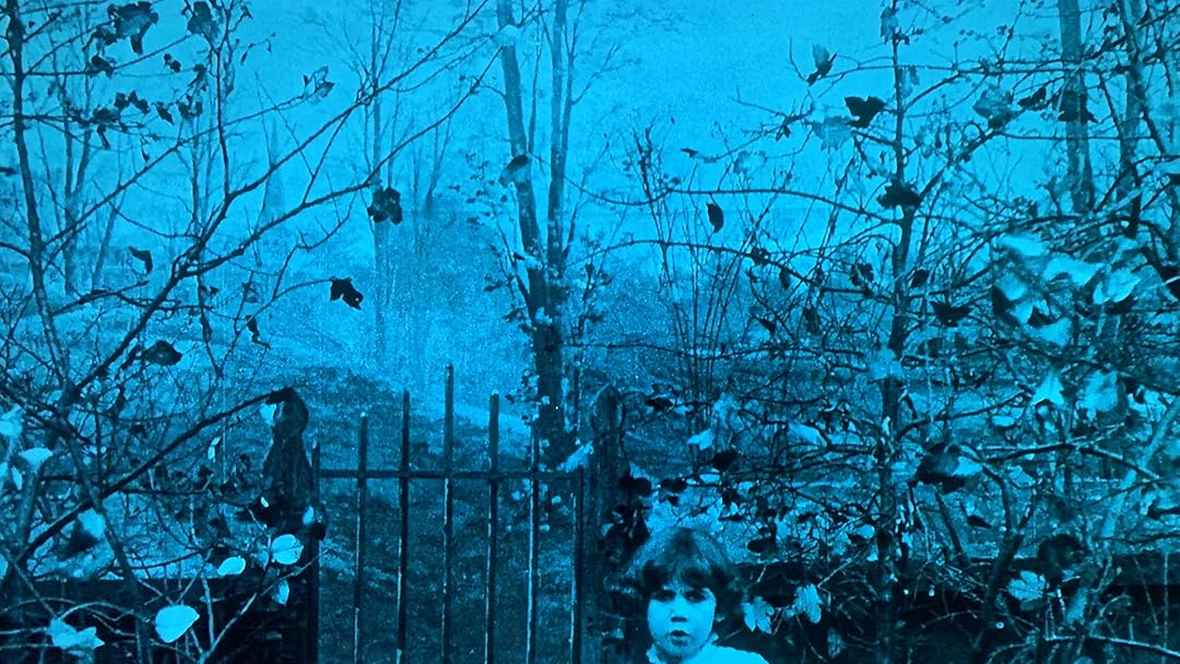 Falling Leaves