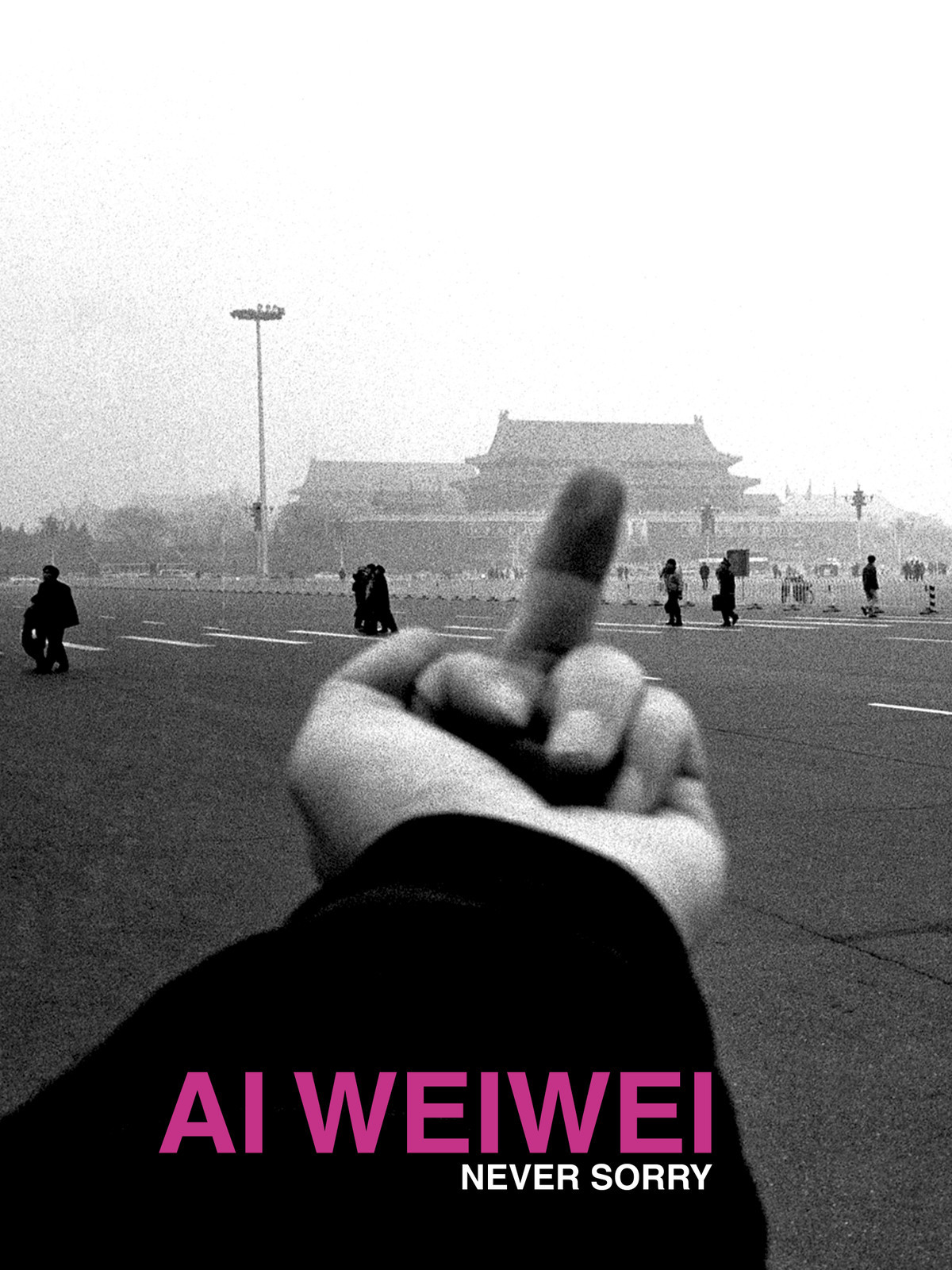 Ai Weiwei 「So Sorry」PRESTEL 未開封 41HjwAi3puL._AC_SY200_QL15_.jpg