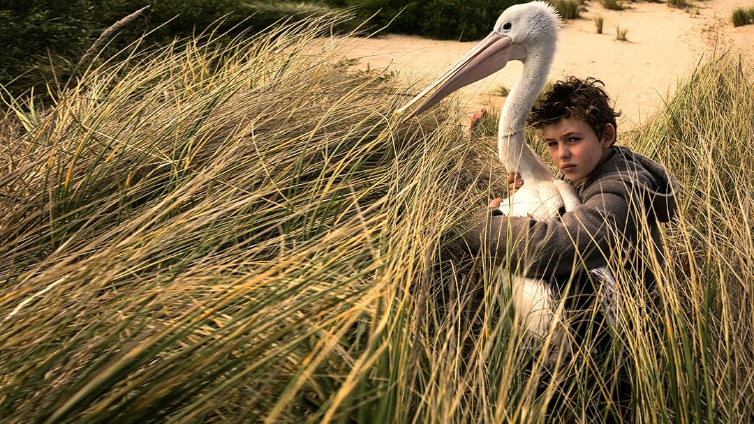 Storm boy - Il ragazzo che sapeva volare