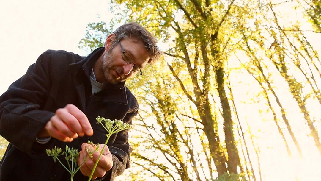 Une forêt et des hommes