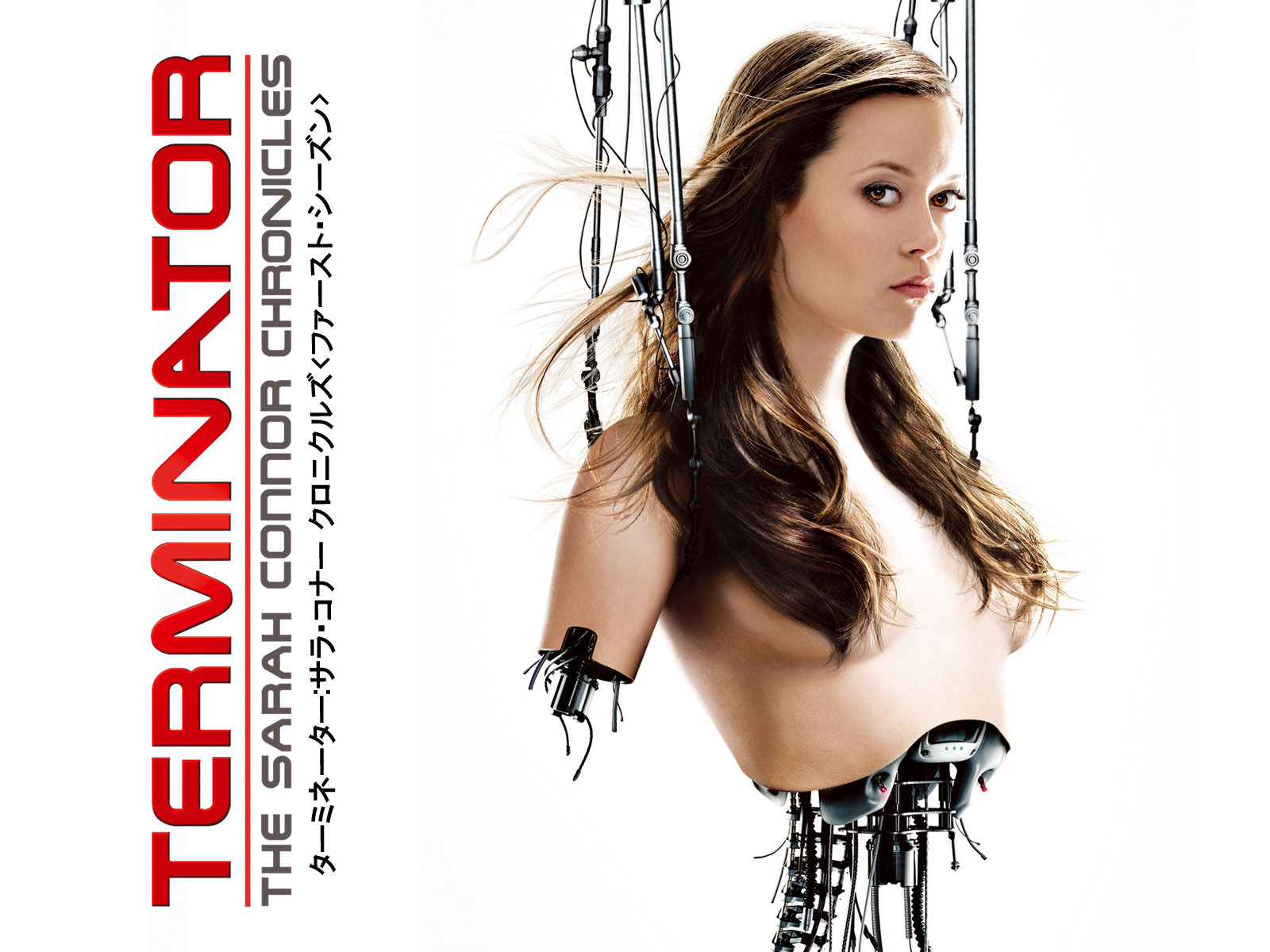 DVD。ターミネーター ドラマ版コンプリートセットです！吹き替えあり ターミネーター:サラ・コナー クロニクルズ(吹替版)を観る