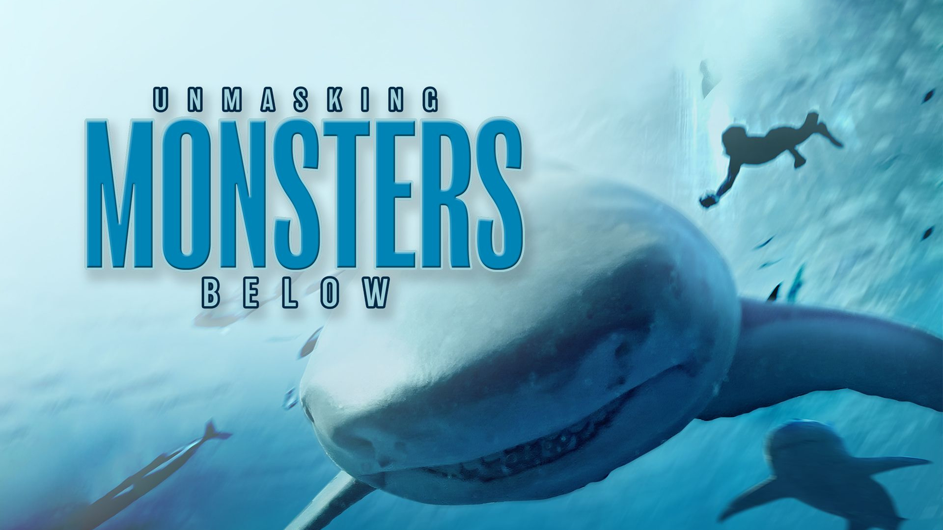 その他 Shark Men: Season Two [DVD] その他 Shark Men: Season Two [DVD] その他 Shark Men: Season