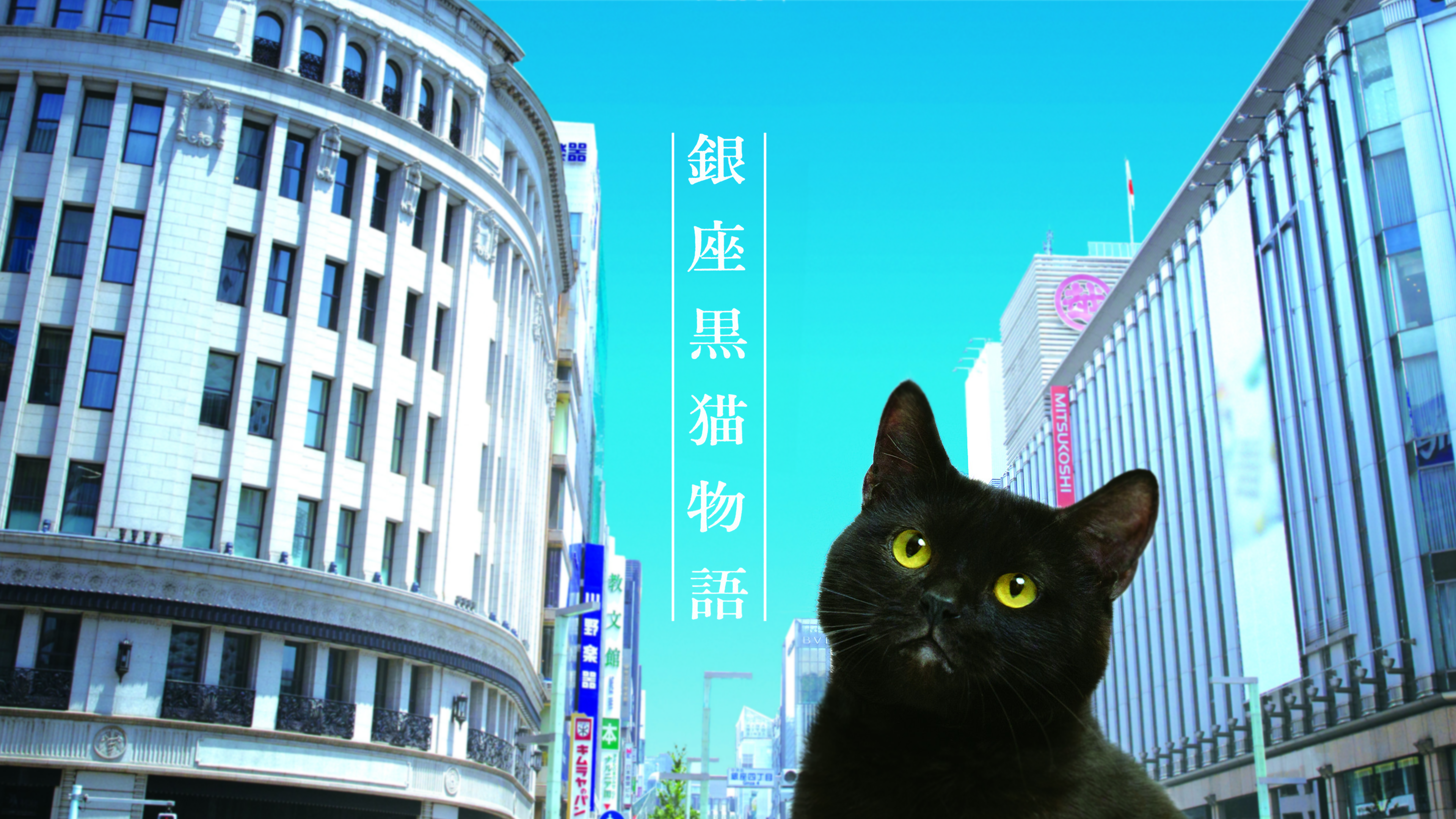 銀座黒猫物語 DVD コンプリートセット Amazon.co.jp: 銀座黒猫物語 DVD コンプリートセット : 山寺宏一
